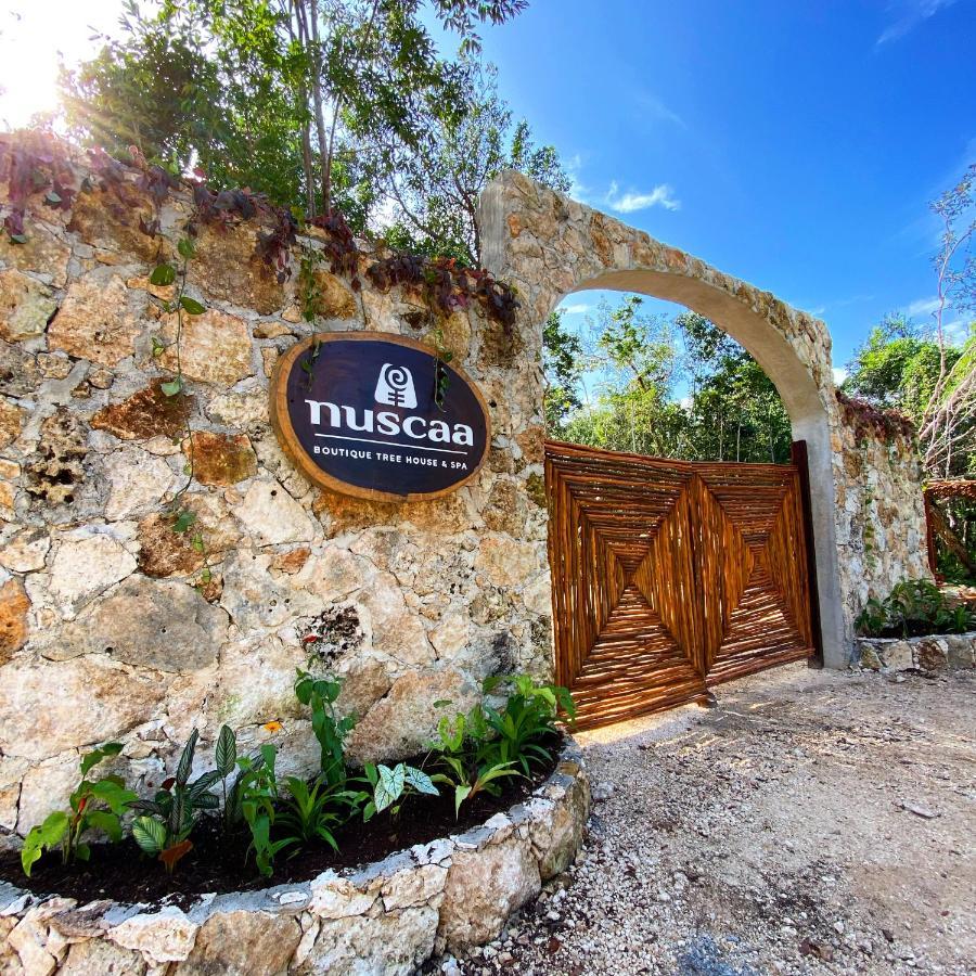 Hotel Nuscaa Boutique Tree House & Spa Puerto Morelos Exteriér fotografie