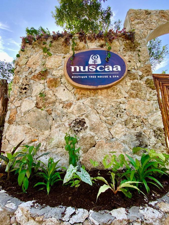 Hotel Nuscaa Boutique Tree House & Spa Puerto Morelos Exteriér fotografie